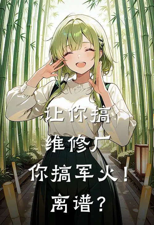 让你搞维修厂，你搞军火！离谱？